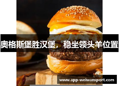 奥格斯堡胜汉堡，稳坐领头羊位置